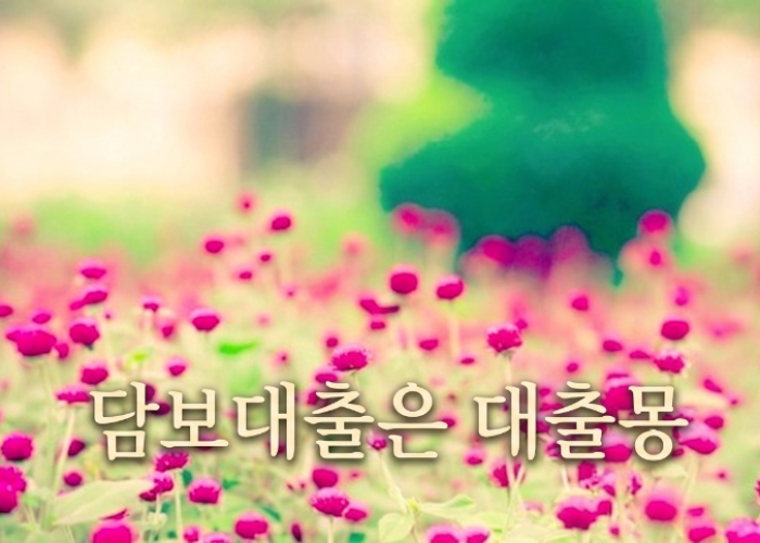 담보대출.png