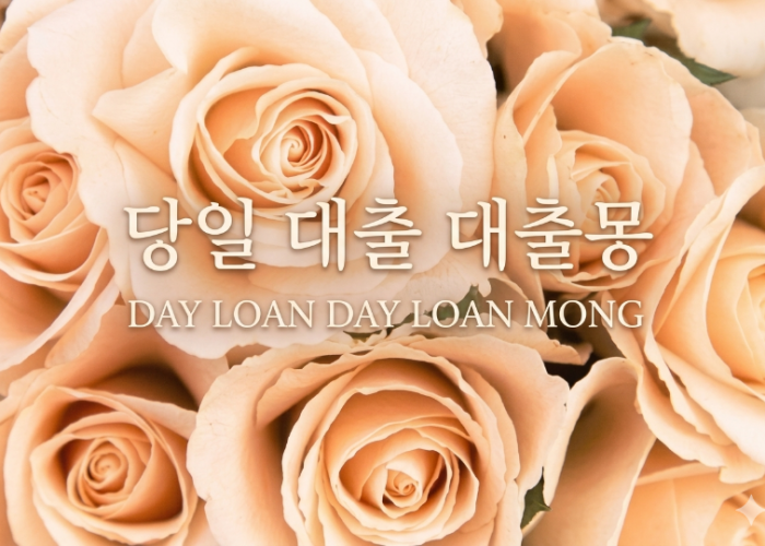 당일대출대출몽.png